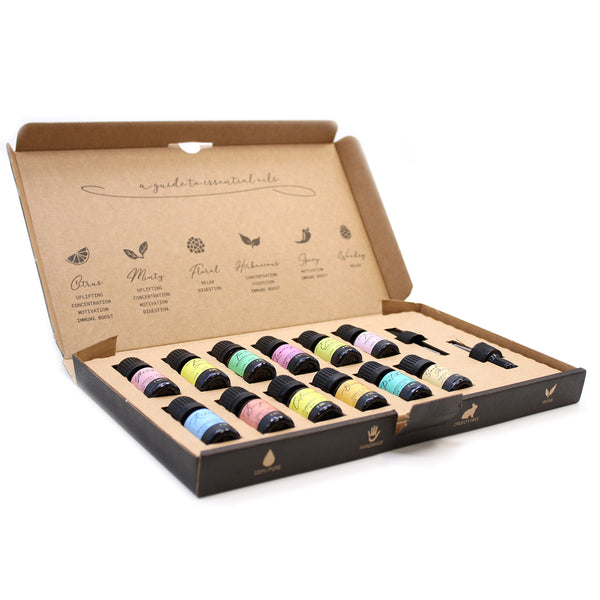 Essential Oil Kit - the Top 12