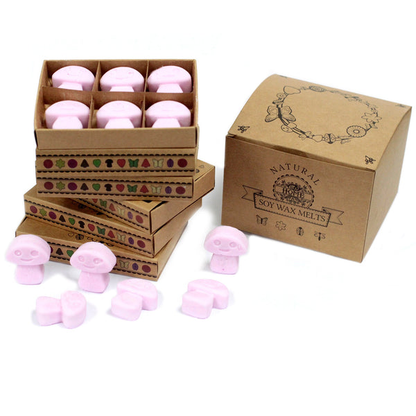 Wax Melts - Box of 6 - Ylang Ylang