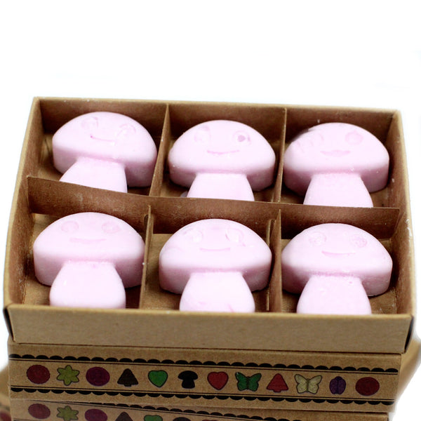 Wax Melts - Box of 6 - Ylang Ylang