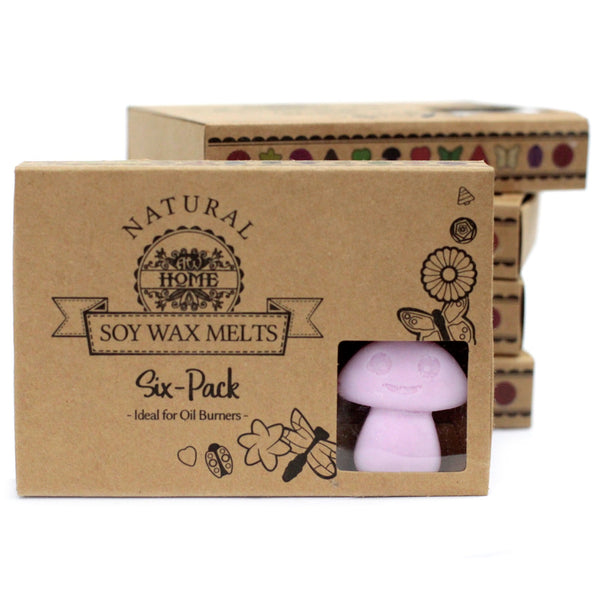 Wax Melts - Box of 6 - Ylang Ylang