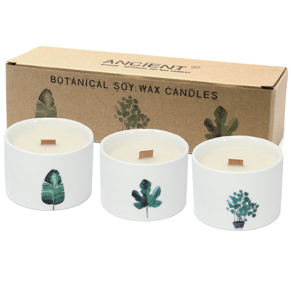 Botanical Candles - Mulberry Harvest