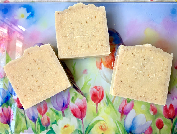 The Plain and Simple Soap Bar