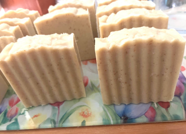 The Plain and Simple Soap Bar