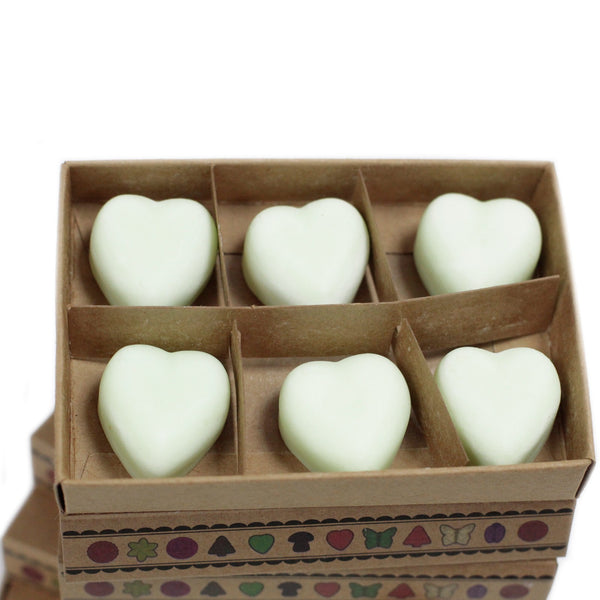 Wax Melts - Box of 6 - Spiced Apple